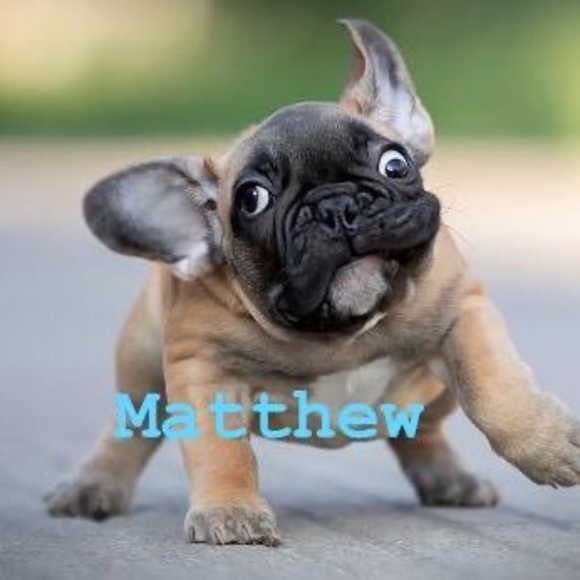 Meet your Posher, Matthew - Picture 1 of 1